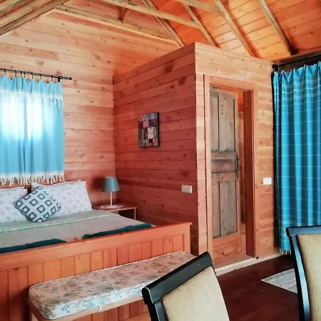 Ambar Evleri 度假居 卡尔坎