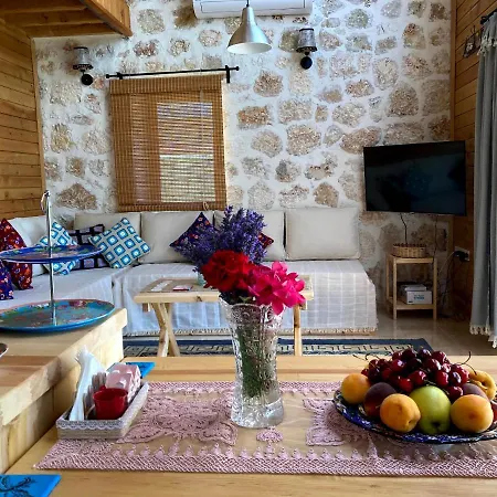 Holiday home Ambar Evleri *