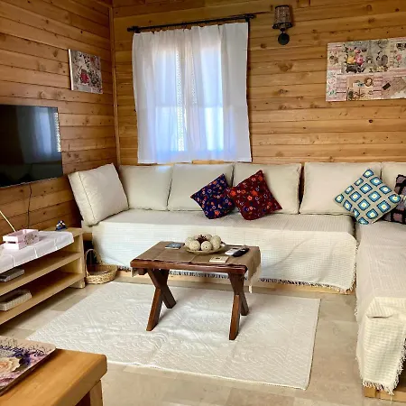 Semesterbostad Ambar Evleri